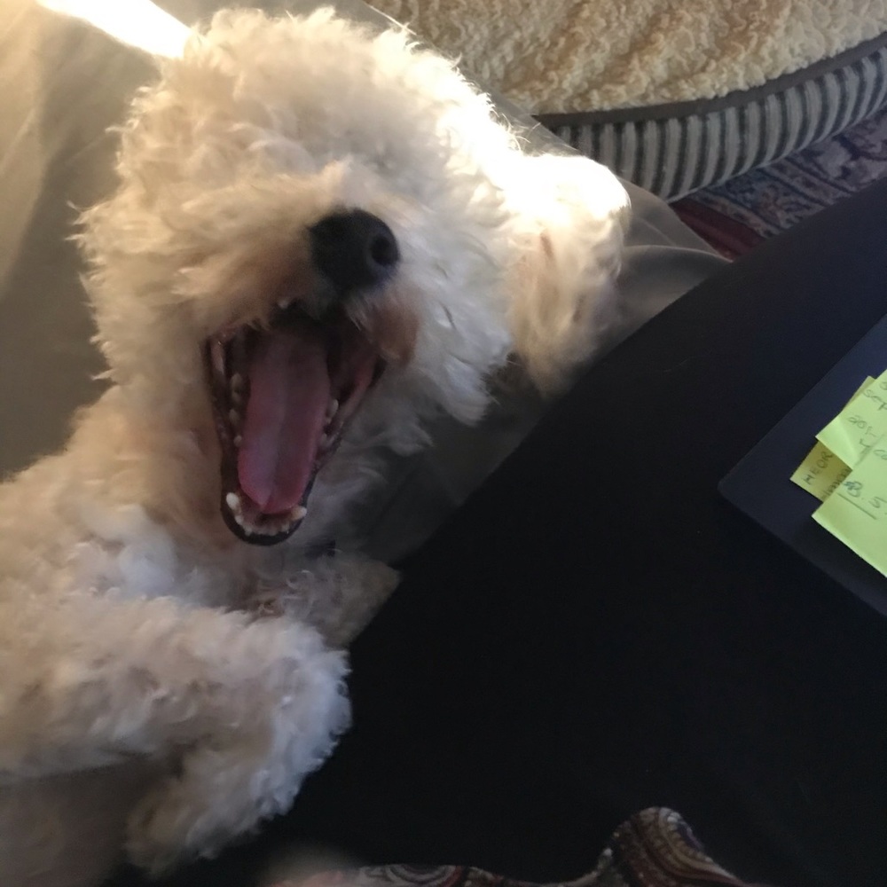 Meet your Posher, Iheartdpo